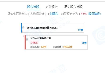 劉強東的再出發 退出云計算公司，押注無人機與室內裝修新賽道